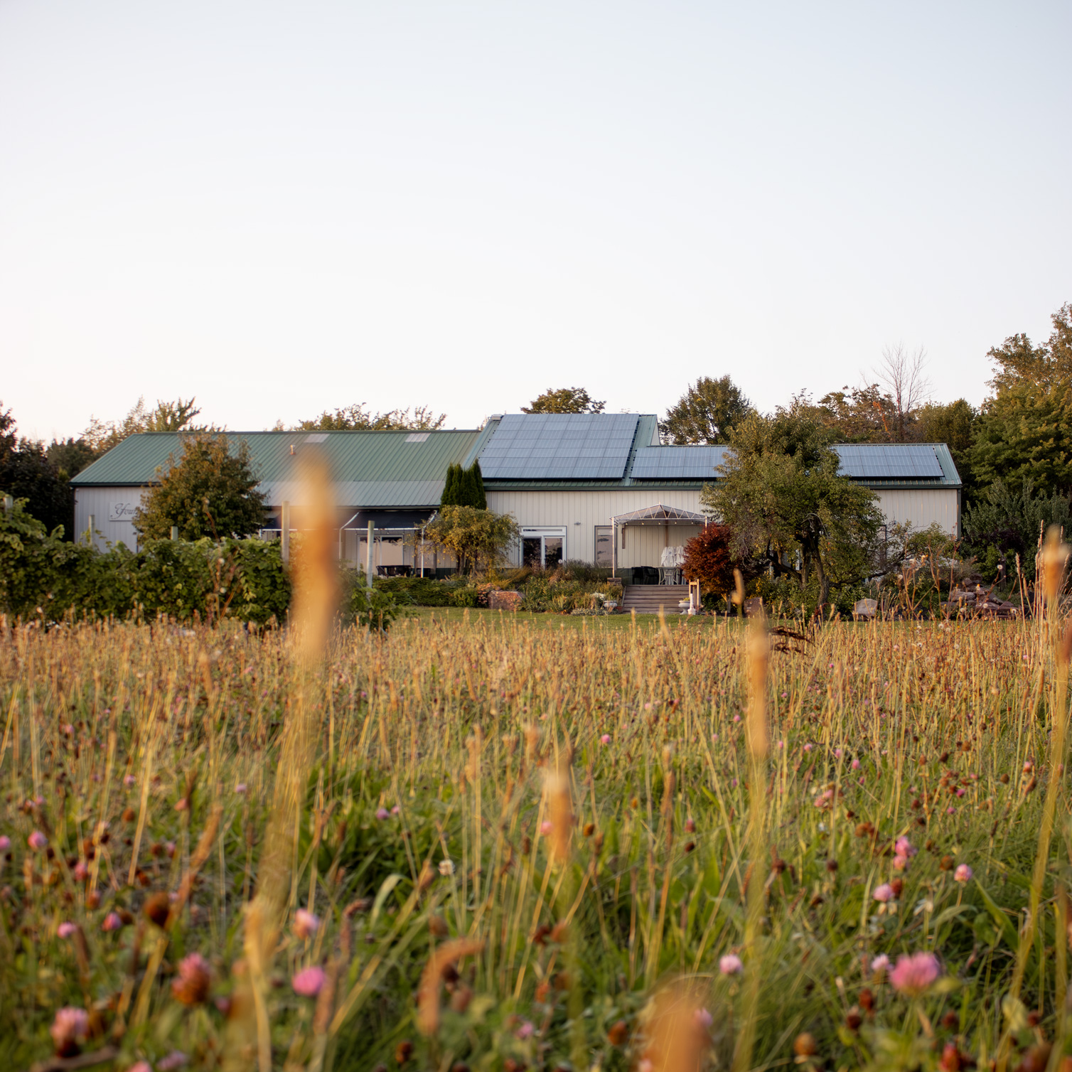 Young Sommer Winery Building